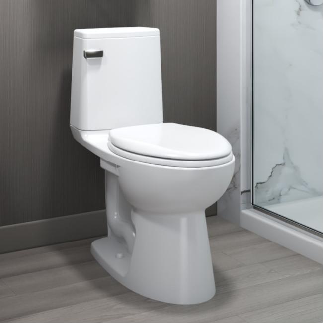 https://www.sloan.com/sites/default/files/styles/max_650x650/public/2022-07/sloan-tank-toilets.jpg?itok=FmcOPVTW
